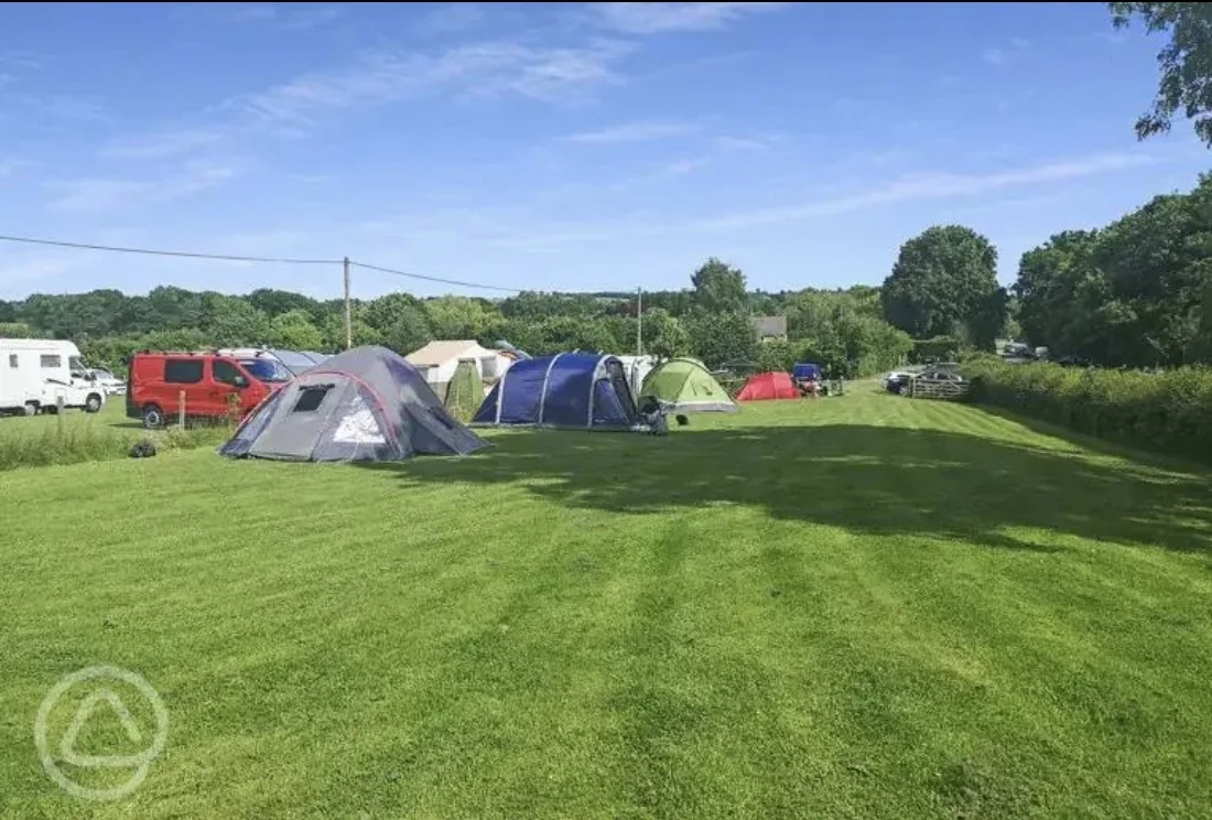 Camping field at The Pig Place